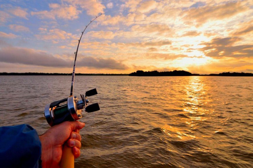 Por la bajante del río Paraná, un juez prohibió la pesca hasta el 31 de marzo