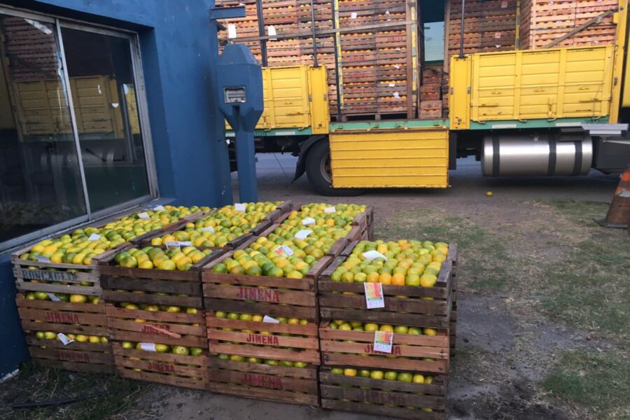 Continúan los operativos de control fitosanitario a transportes de jugos y frutas cítricas