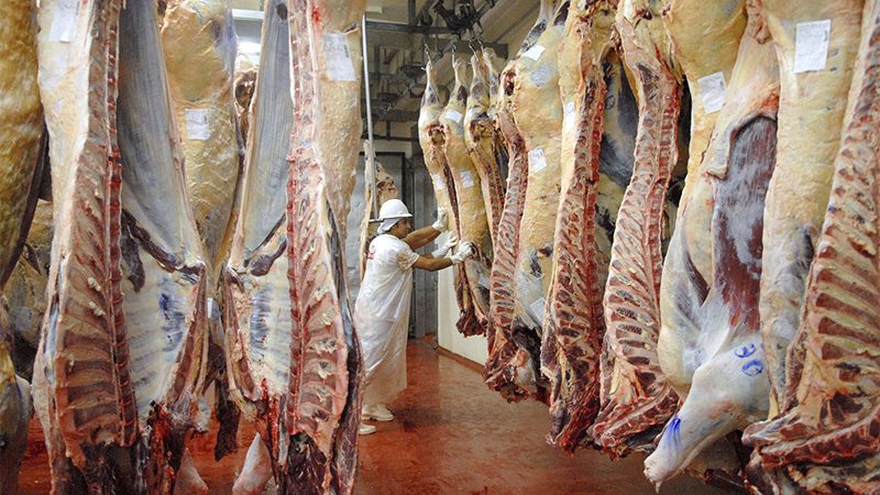 El Gobierno negocia con exportadores un «precio adecuado» para la carne