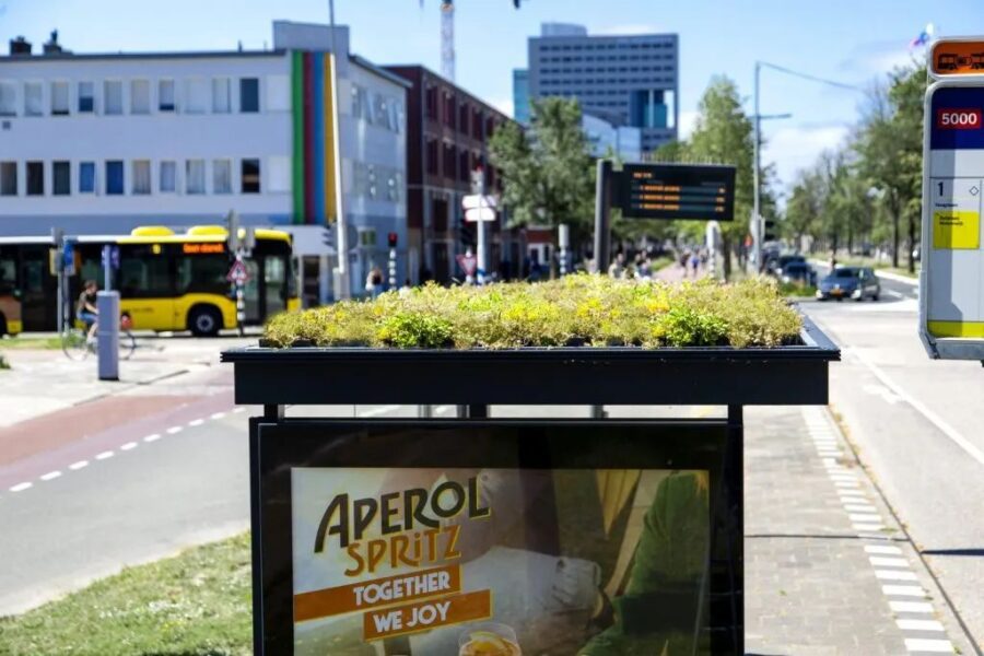 Con que poco podemos hacer algo inteligente – Holanda convierte 316 paradas de autobús en refugios para abejas