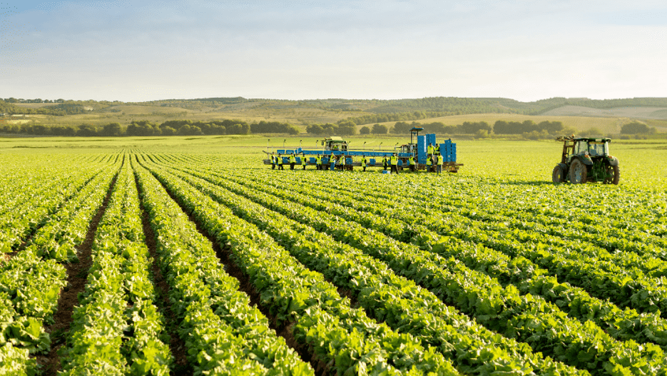 Créditos para pequeños productores agrícolas: montos, tasa y requisitos