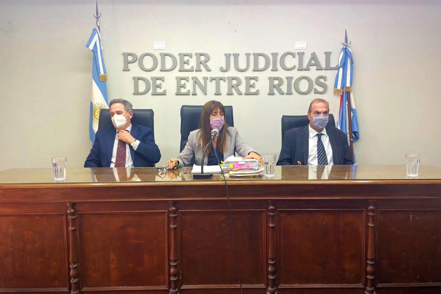 Homologaron el acuerdo: Luis Castillo, a prisión perpetua por el asesinato de Teresita Galli
