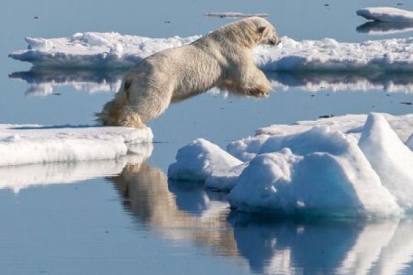 Se acelera la pérdida de hielo en el Artico