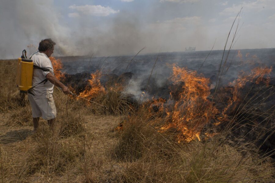 Corrientes: Se registraron 97 incendios de pastizales en 31 días