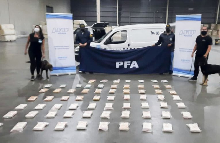 Desbarataron una banda que intentaba traficar 71 kilos de cocaína a España