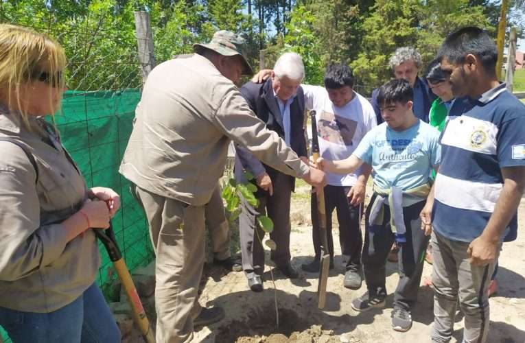 La CARU entregó árboles y equipos para control del agua en Federación
