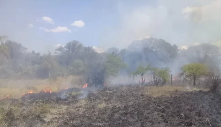 Corrientes: Un incendio arrasó 70 hectáreas y llevan ante la Justicia a dos personas por atentado