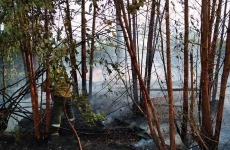 Bomberos trabajaron durante más de 4 horas para combatir los incendios en Villa del Rosario