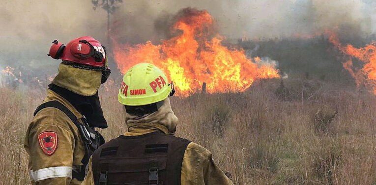 Durante enero se quemaron más de 27.000 hectáreas en Corrientes