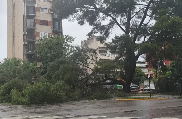 Temporal de lluvia y viento en la Ciudad de Bs As  y el Conurbano: inundaciones, destrozos y caídas de árboles
