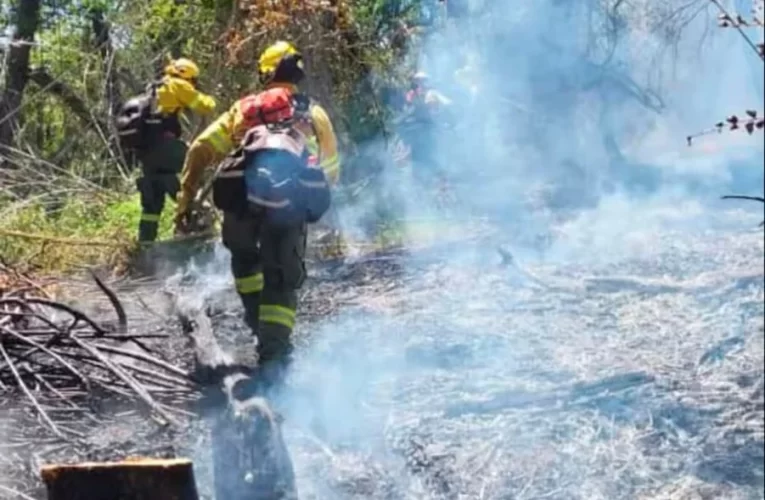 “Claramente fue intencional”: sigue activo el incendio en el parque Los Alerces y se complica el combate del fuego