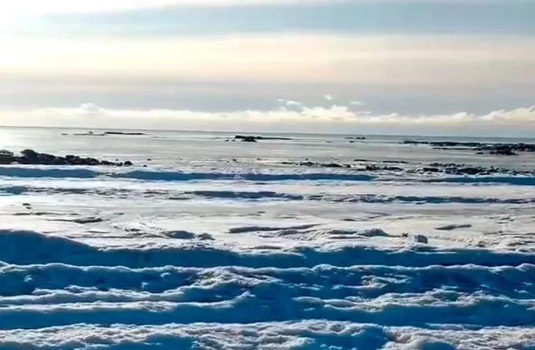 ¿El mar se congeló en Tierra del Fuego? Qué factores generan el fenómeno