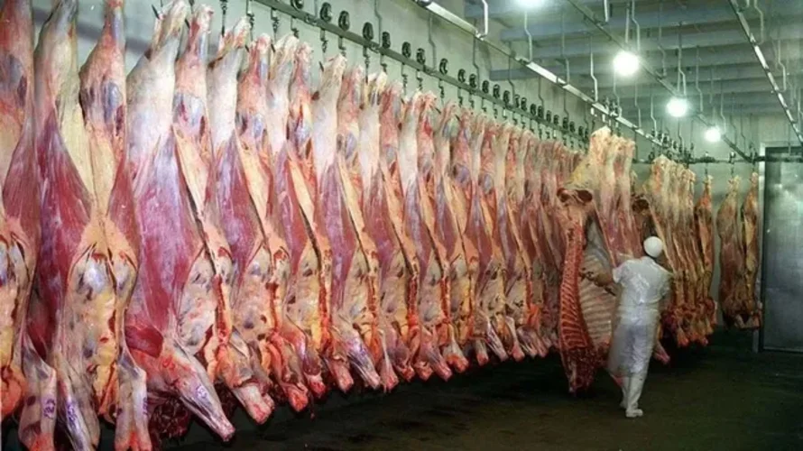Carne vacuna